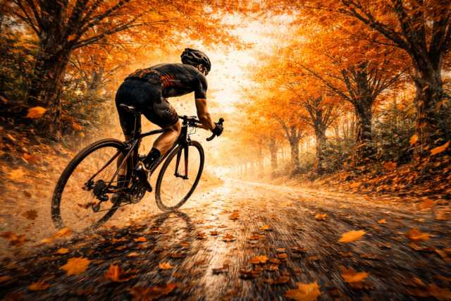 autumn forest cyclist